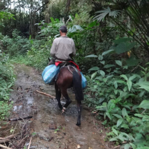 Fernando en la selva